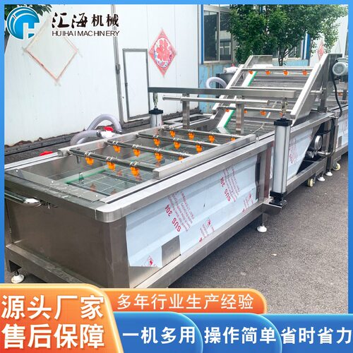供应油菜气泡清洗机全自动果蔬清洗机不锈钢荠菜清洗流水线