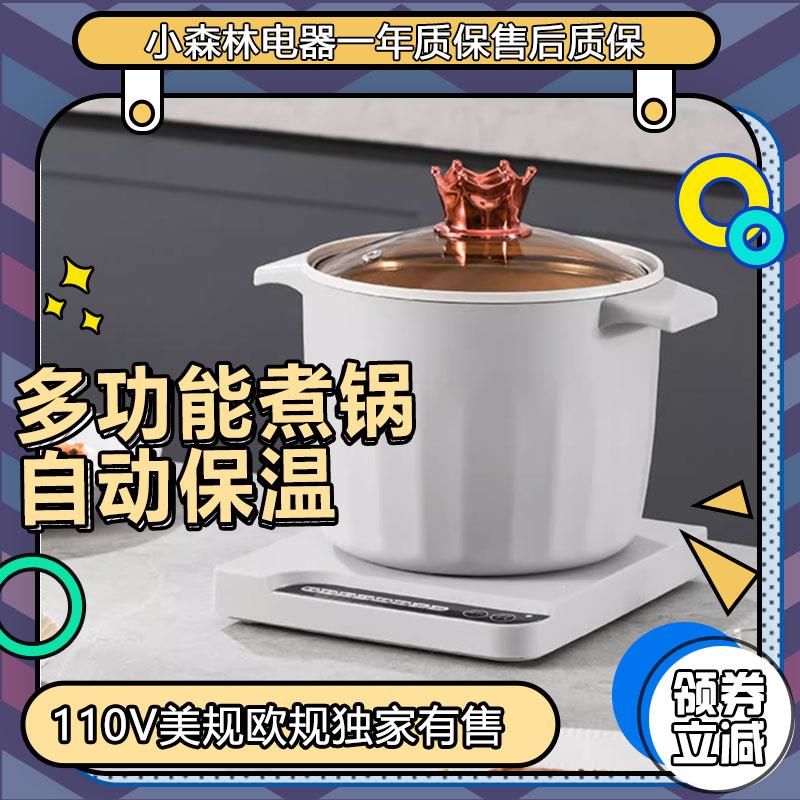 迷你电煮锅小电锅宿舍学生多功能分体式电火锅煮面分离110V英美规