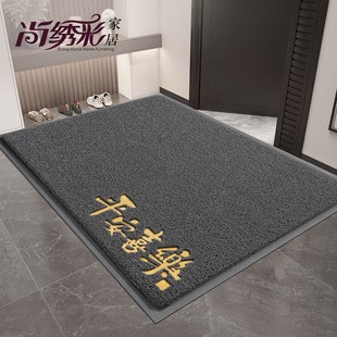 丝圈脚垫大门口免洗门垫防滑地毯 入户门地垫家用进门垫子2024新款