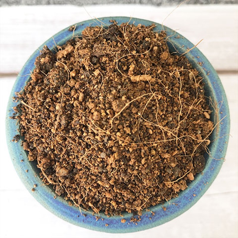 木本植物通用土盆栽盆景酸性沙质泥炭红土壤绿植种植土营养土肥料