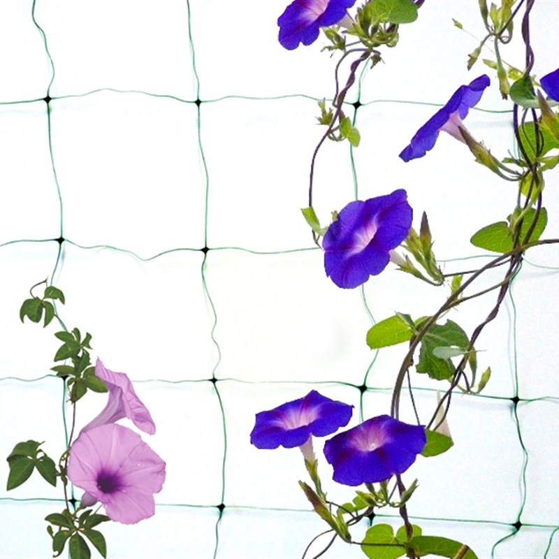 包邮丝瓜黄瓜牵牛花攀爬网爬藤网植物攀爬网格塑料网1.8米x3.6m