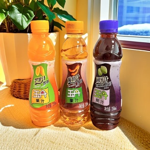 云南臨滄特產(chǎn)玉丹果汁芒果酸角訶子汁瓶子飲料