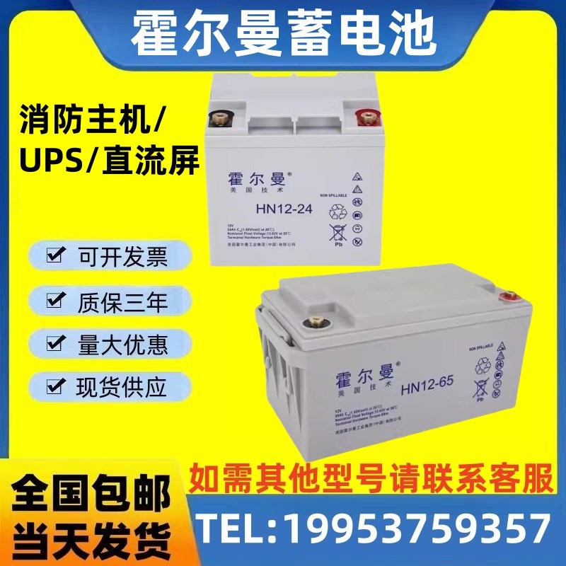 霍尔曼蓄电池 HN/12V17AH24AH38AH40AH65AH100AH120AH消防主机UPS
