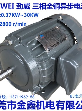JIN WEI(劲威) LIXIANG(力象)三相马达电机 0.37KW~30KW-2极卧式
