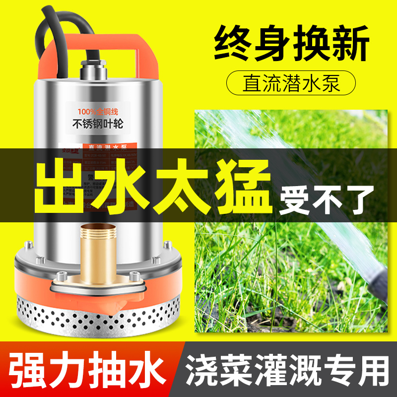 直流潜水泵家用12V24V48V60v电瓶电动车抽水泵农用浇菜神器水泵