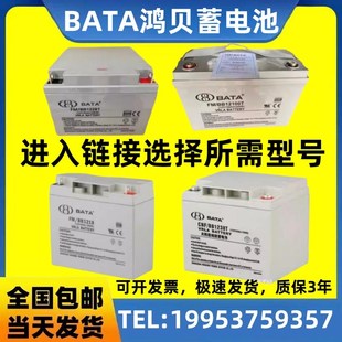 BB1228T 100AH消防UPS 12V7 BATA鸿贝蓄电池FM