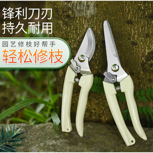 园艺剪刀家用花剪果实采摘剪枝修剪树枝果树修枝剪花艺花枝省力剪