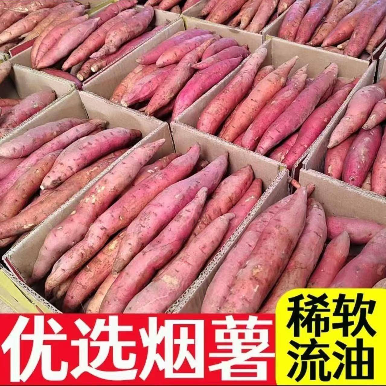 烟薯25号蜜薯糖心红薯新鲜9斤番薯农家沙地烤地瓜山芋流油
