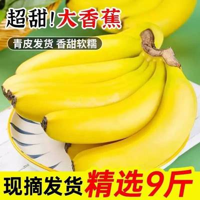 广西高山香蕉9斤新鲜当季水果整箱大芭蕉叶小米蕉甜香焦自然熟5斤