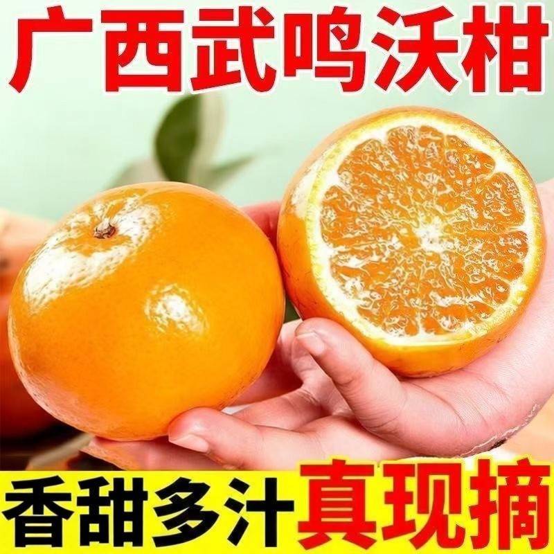 正宗广西纯甜沃柑橘子新鲜水果整箱斤柑橘现摘沙糖蜜橘砂糖大果10
