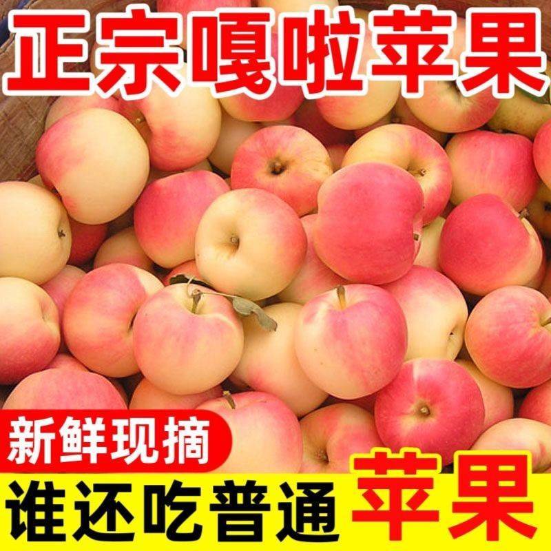 嘎啦苹果新鲜水果当季整箱10斤陕西红富士脆甜冰糖丑青小平果包邮