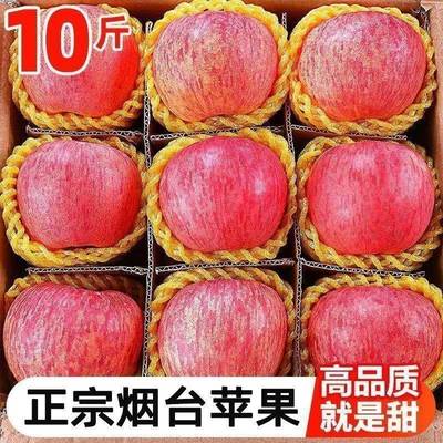 山东烟台红富士10斤苹果当季新鲜水果正宗冰糖心栖霞平果整箱包邮