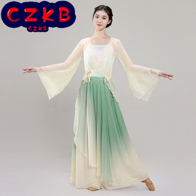 古典舞服装超仙飘逸纱衣一整套古