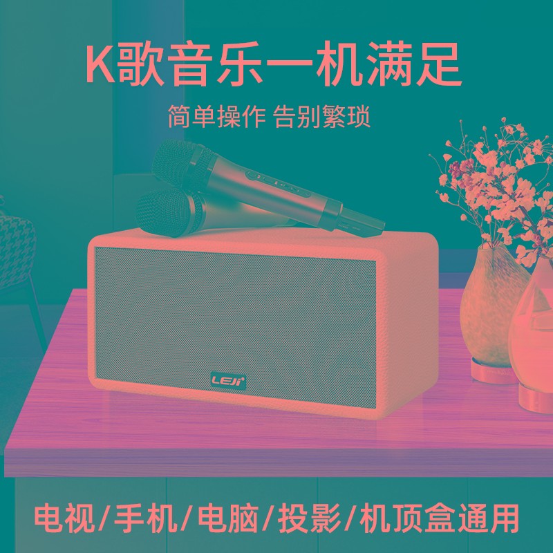 乐基 W66家庭KTV音响套装无线话筒音箱会议教学演讲练歌麦克风音