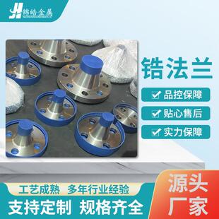 厂家定制核工业用锆法兰 搅拌设备用锆法兰 管道连接装 置锆法兰