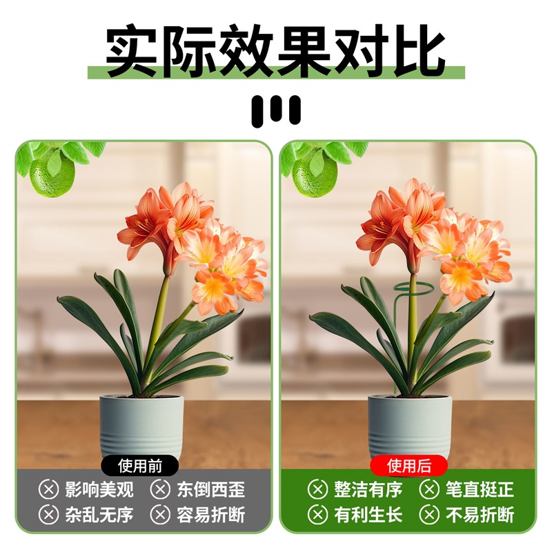 植物防倒伏支架铁艺花支撑架植物花架支撑杆西红柿龟背竹支撑杆