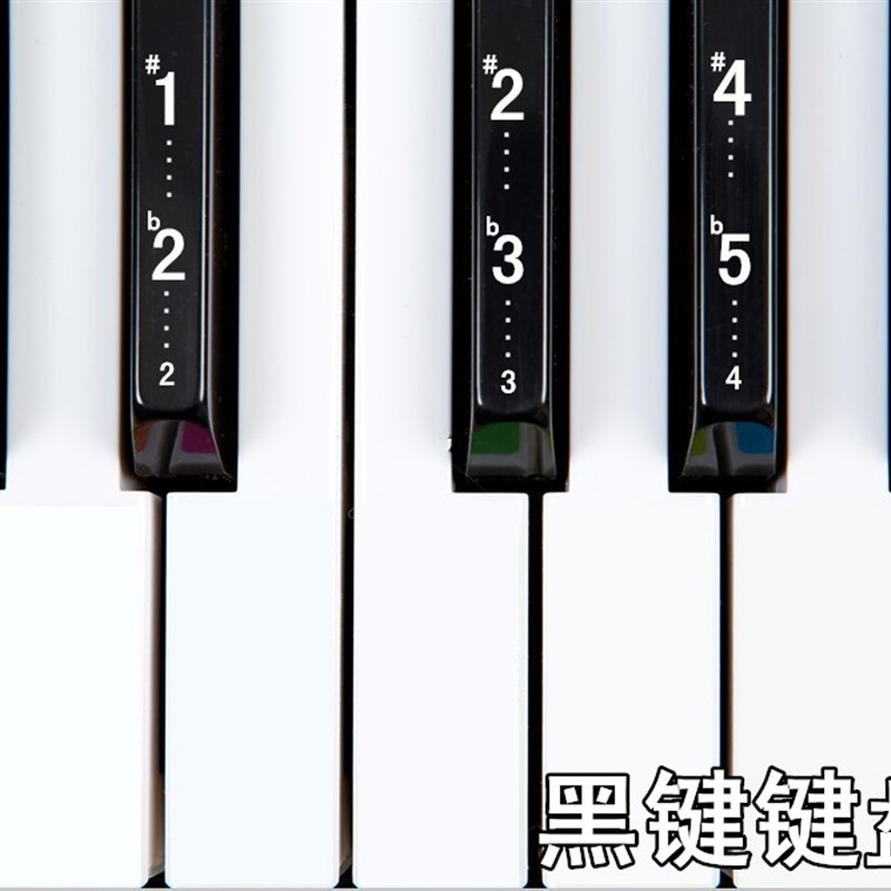 送黑键贴61-54超透明五线谱简谱键位贴电子琴琴贴钢琴键盘贴纸