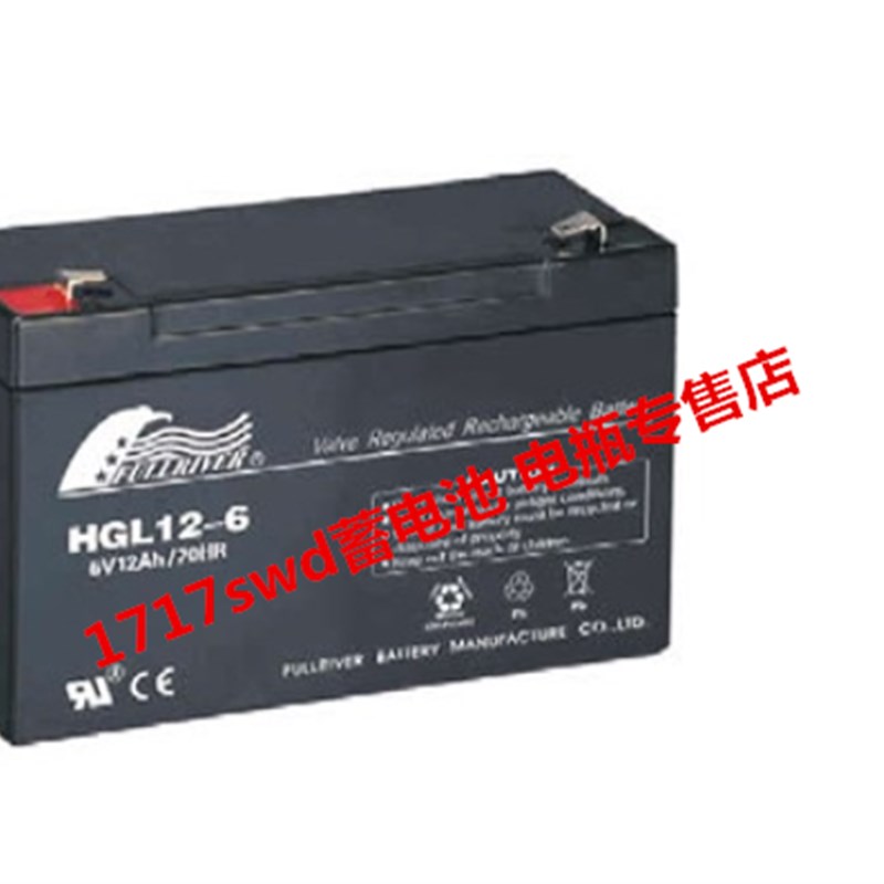 FULLRIVER蓄电池 HGL12-6 6V12AH/20HR 玩具车 仪器仪表用电瓶