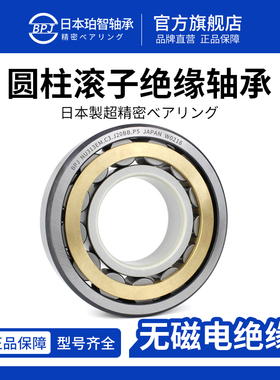 BPJ日本进口轴承NU218EM短圆柱滚子轴承NU220绝缘轴承无磁耐腐蚀