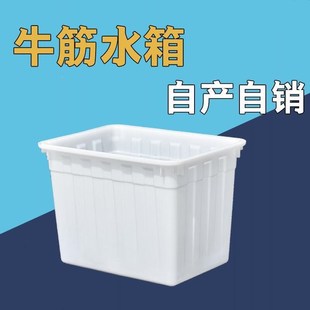 加厚牛筋桶长方形水桶大号塑料水箱养鱼卖鱼盆水产养殖箱水槽圆桶