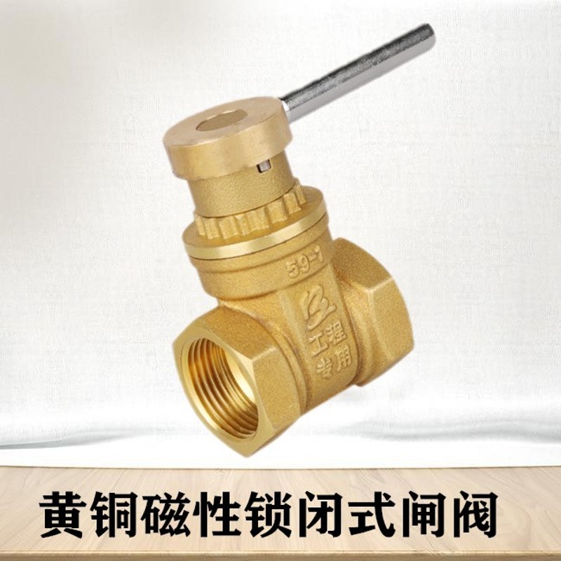 博正水表前加密全铜闸阀 磁性感应带锁闭防盗自来水专用阀门
