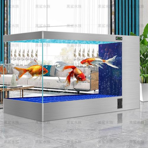 锦鲤地板水箱测量和过滤鱼缸客厅大生态水无变化定制锦鲤专用鱼池