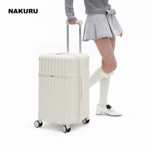 2024冬新款拉杆箱结实耐用加厚行李箱女大容量箱子密码旅行箱26寸