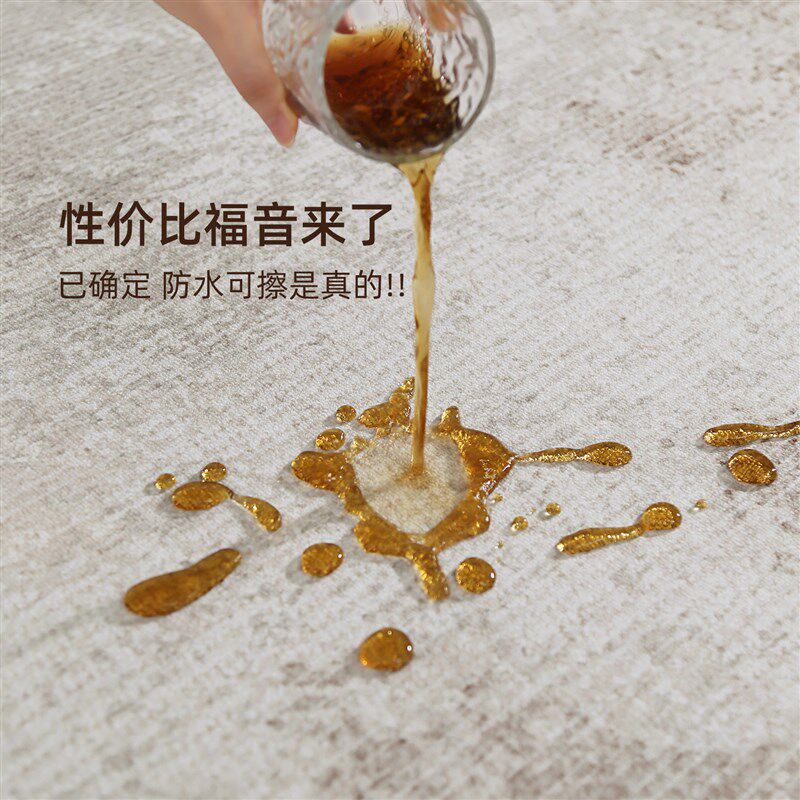 地毯客厅2025新款现代简约免打理卧室床边毯房间沙发地垫冬天加厚