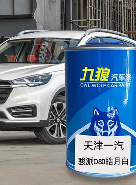 九狼汽车漆天津一漆汽V2满月银骏派D80皓月白D60香槟金牛仔蓝威志