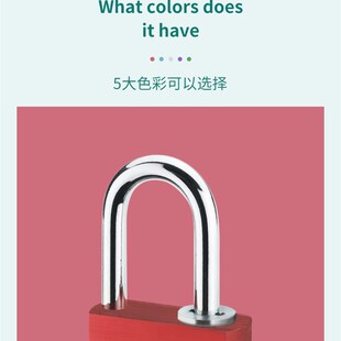 储物柜子不锈钢密码锁头挂锁蜜宿舍大学生迷你小型安全行李箱家用