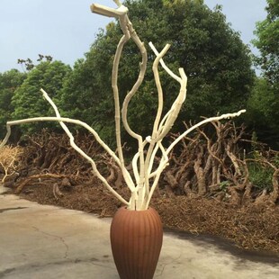 天然麻花藤干树枝白o山藤艺术造型装饰树枝木藤树藤白树枝藤条装