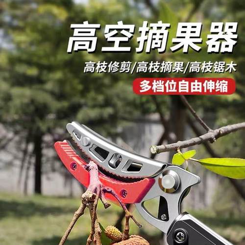 枇高枝剪摘果刀剪5米高空摘果剪高空摘果器杷NRE树枝果树剪采长杆