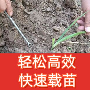 载葱神器大葱全自动农用栽秧器栽苗打孔器栽秧器懒人工具专用