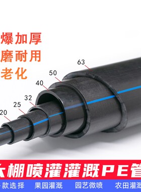 16PE农用灌溉支管大棚20pe滴灌管微喷草坪果树农业喷灌设备75主管