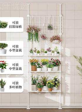 顶天立地NVT杆关花架角落客玄架简约厅悬挂层多层旋转多肉室内花