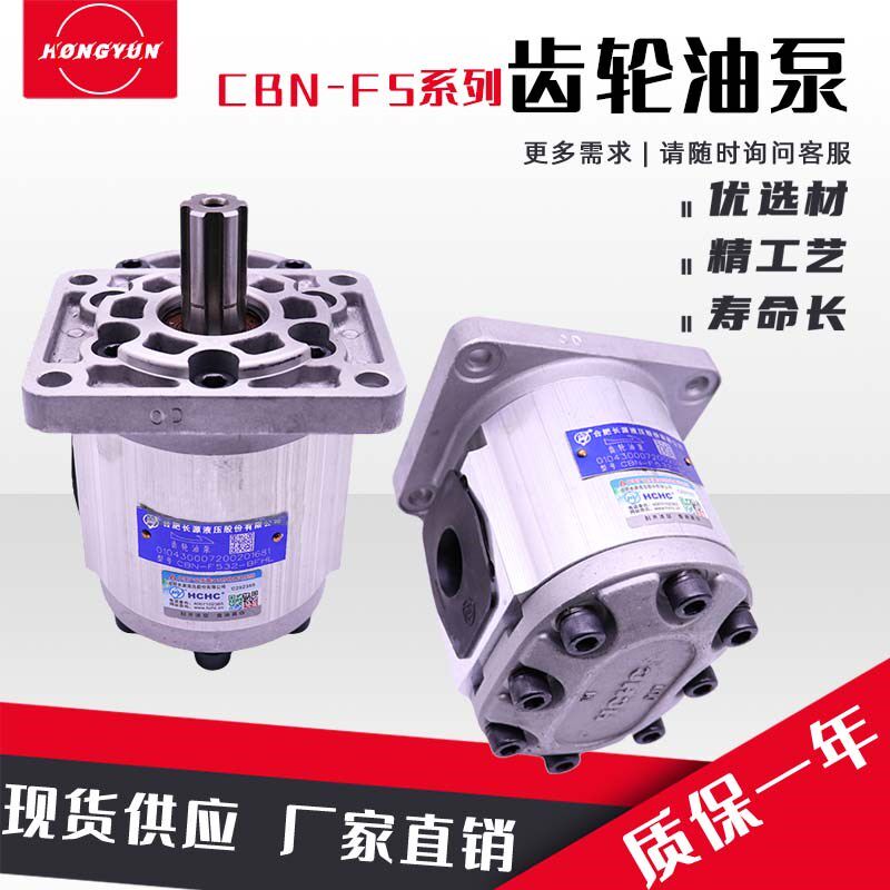 合肥长源液压齿轮泵CBN-F520/525/532/540油泵电机总成CBN-F50/63