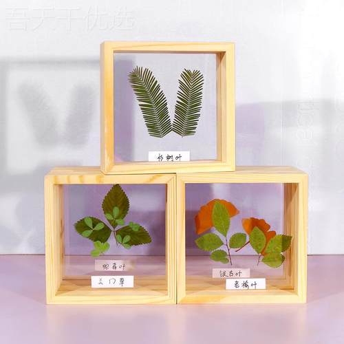 REK台正方形干花相框实木亚克力摆 幼儿园手工D面IY双透植物明标