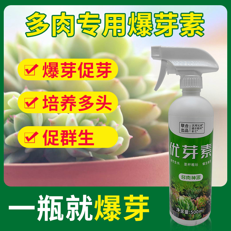 优芽素多肉专用促侧芽生长爆芽花卉植物营养液爆芽素矮胖素通用型