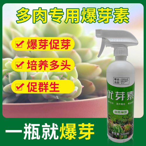 优芽素多肉专用促侧芽生长爆芽花卉植物营养液爆芽素矮胖素通用型