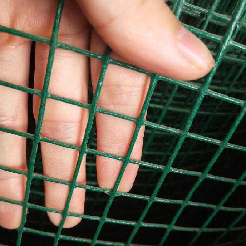 家用兰护栏隔围栏拦网鸡围墙护荷塑料网格小孔铁丝网离网片养殖