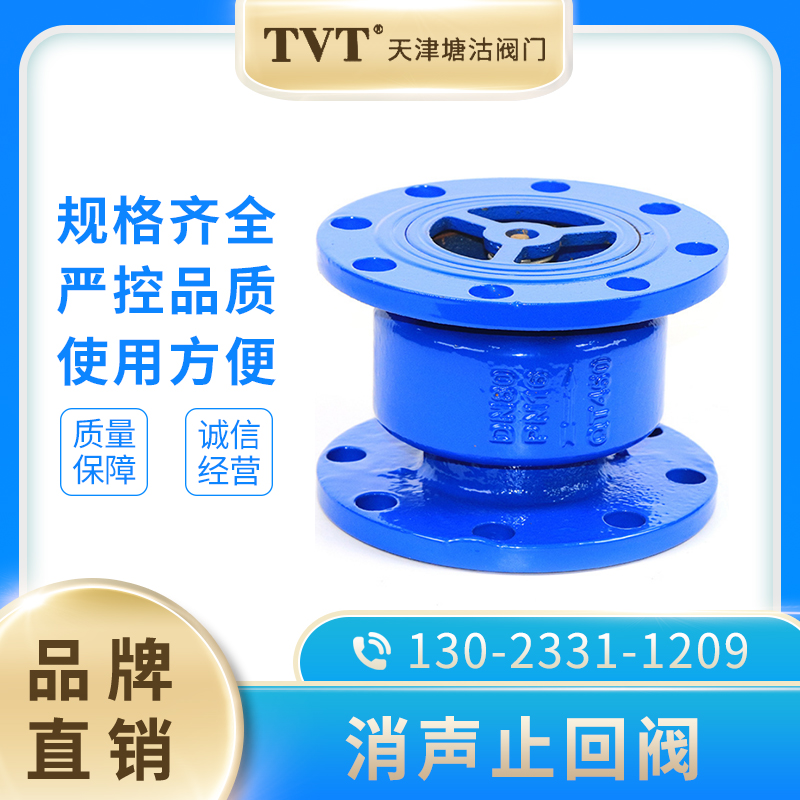 天津塘沽阀门TVT立卧式单向阀逆止阀法兰消声止回阀HC41X-16Q