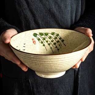 漂亮汤面碗家用2025新款 盘子深盘菜盘专用蒸碗斗笠大碗面碗餐具碗