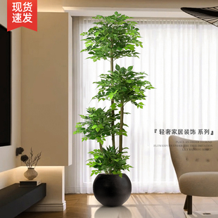 饰摆件假花 仿真植物幸福树发财树客厅大型落地假绿植室内家居装