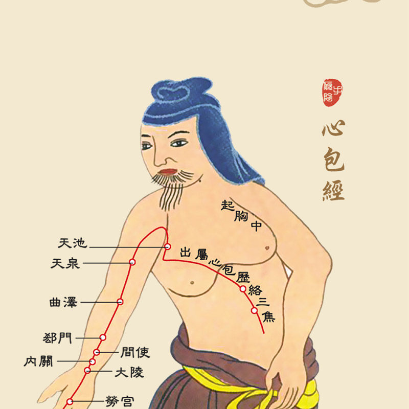 中医十二十经络穴位挂图养生文化医院养生馆诊所卷轴挂画已裱