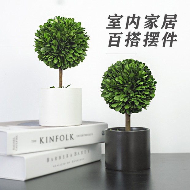 办公室桌面绿植好养植物室内小盆栽四季常青创意迷你盆景装饰摆件