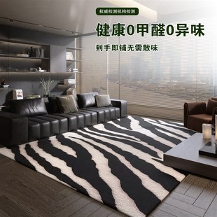 免洗可擦沙发地垫家用轻奢高级感卧室床边毯防滑 地毯客厅2025新款