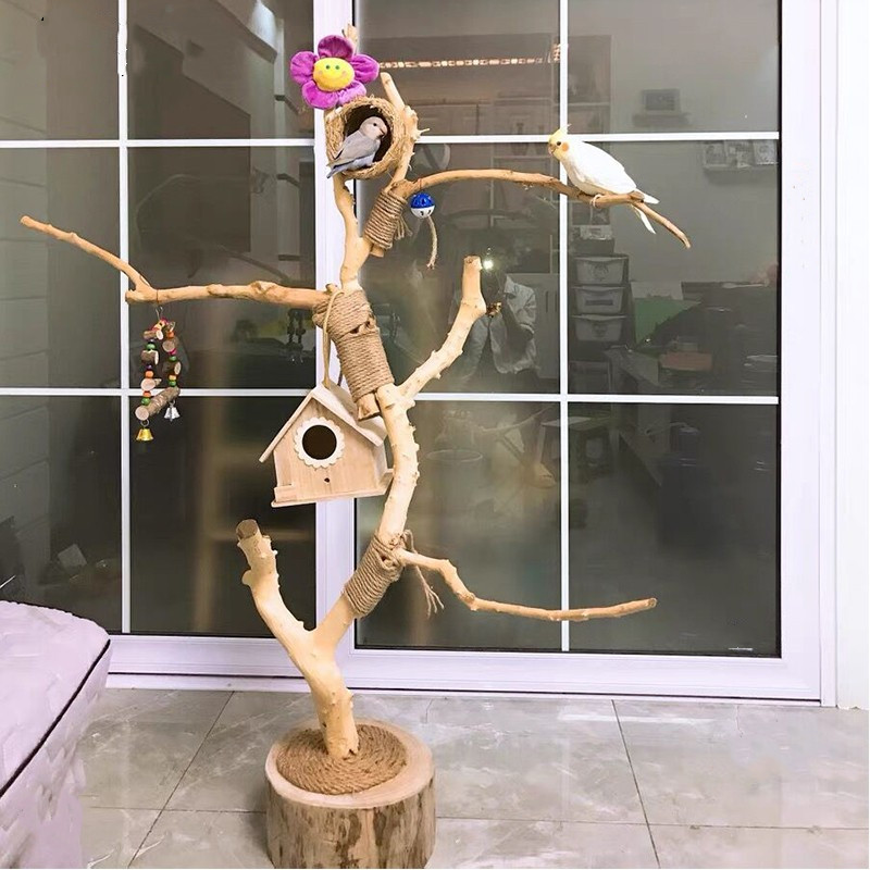 干树枝原木杈艺术干枝枯木树干鸟站架造型壁鹦鹉站架吊顶龙骨装饰