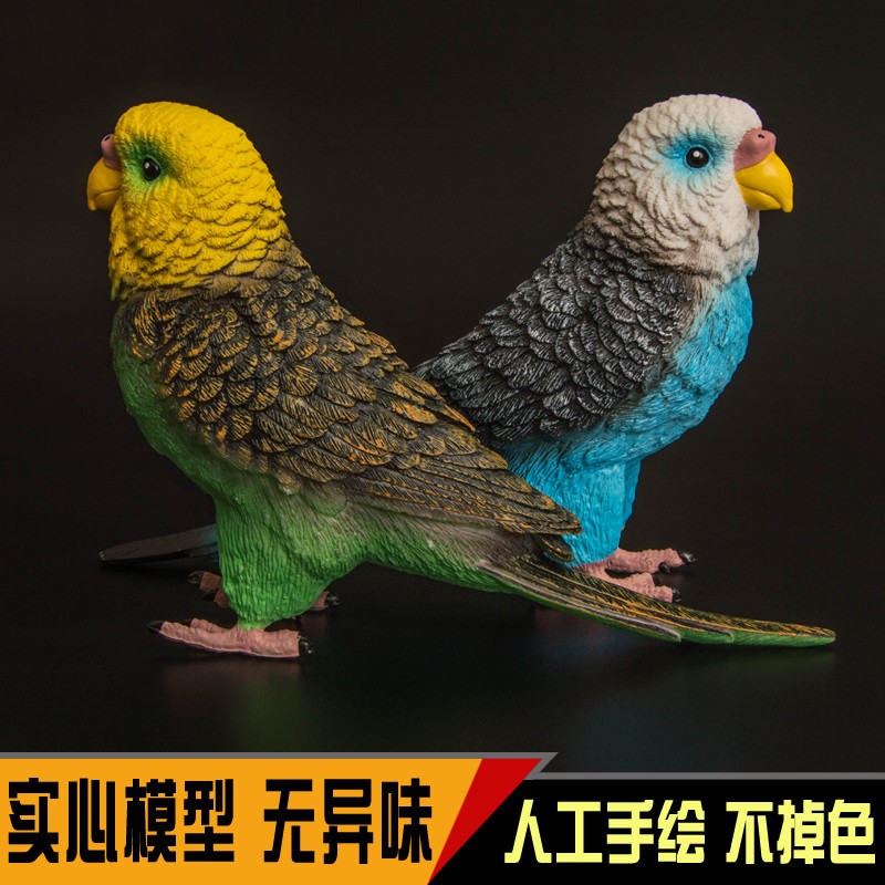 大号仿真动物模型鸟类实心塑胶摆件科教认知儿童玩具礼物虎皮鹦鹉