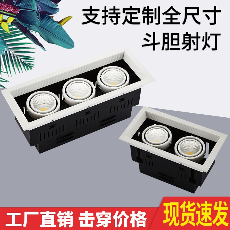 led斗胆灯双头三头双眼射灯筒灯黑色方形格栅嵌入式豆胆商用中性