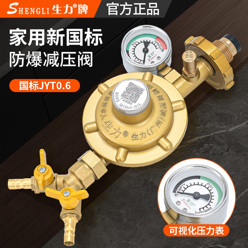 生力新国标家用0.6双咀防爆瓦斯瓦斯炉调压液化气瓦斯减压阀
